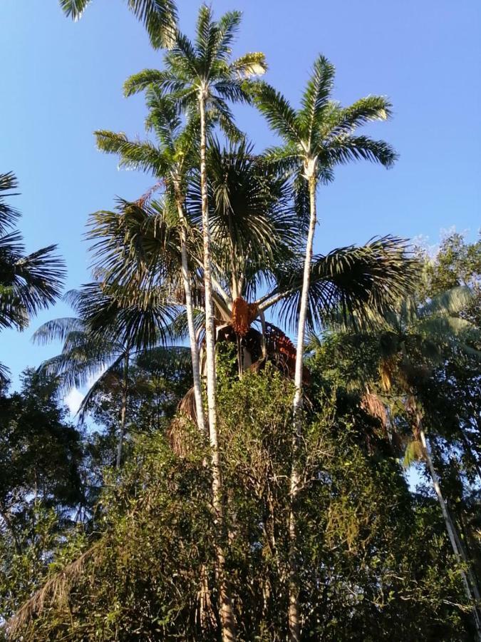 Palmayacu - Refugio Amazonico Летисия Екстериор снимка